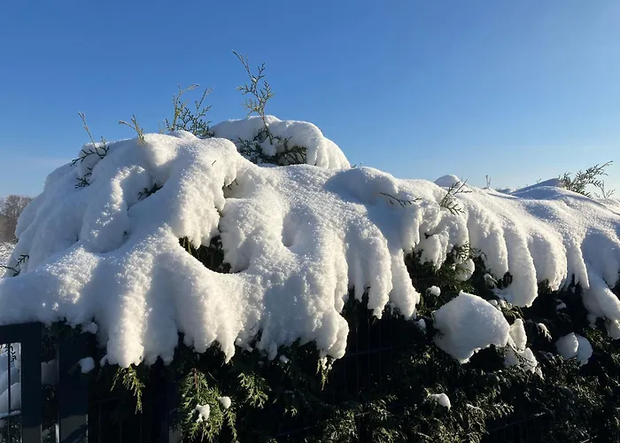 شقة Ferien Am Hofe Hainewalde